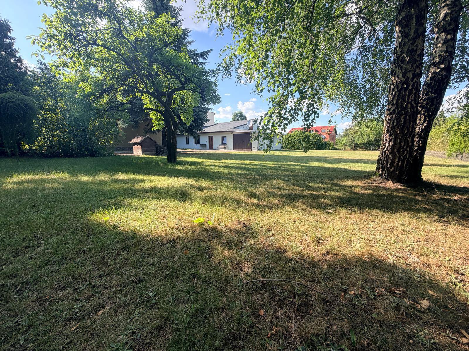 1925 m² zieleni, dwa budynki. Piotrków Trybunalski.