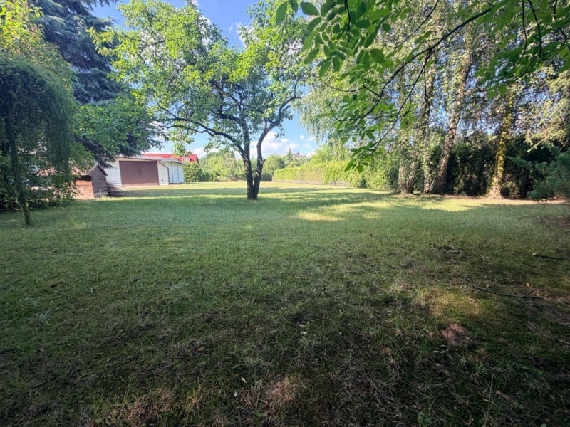 1925 m² zieleni, dwa budynki. Piotrków Trybunalski., zdjęcie 19