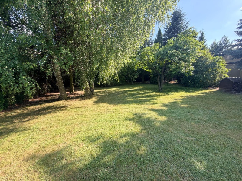 1925 m² zieleni, dwa budynki. Piotrków Trybunalski., zdjęcie 15