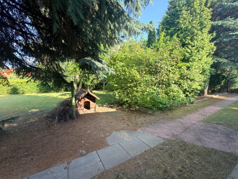 1925 m² zieleni, dwa budynki. Piotrków Trybunalski., zdjęcie 20