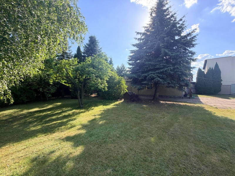 1925 m² zieleni, dwa budynki. Piotrków Trybunalski., zdjęcie 16